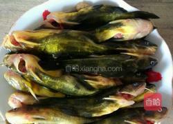 红烧黄丫头的做法图解1