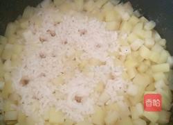土豆焖米饭的做法图解6