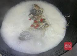 鲢鱼鱼头豆腐煲的做法图解9