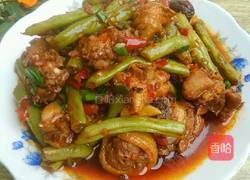 四季豆烧鸡的做法图解13