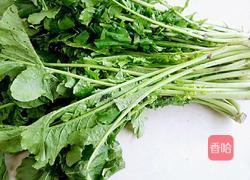 腌萝卜叶咸菜的做法图解1