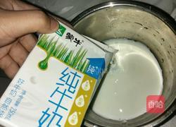香醇酸奶的做法图解2
