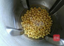 核桃养生豆浆的做法图解4