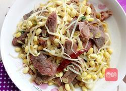 豆芽炒牛肉的做法图解8