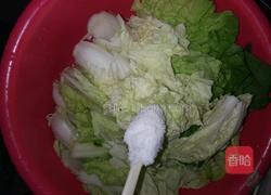 凉拌白菜的做法图解1