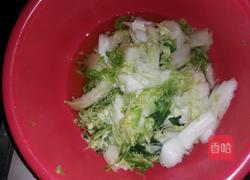 凉拌白菜的做法图解2
