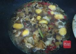 板栗烧鸡的做法图解5