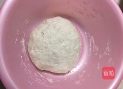十分钟快速发面法的做法图解5