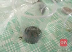 盆栽的做法图解5