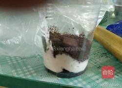 盆栽的做法图解7