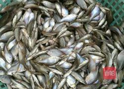 野生鱼酱的做法图解1