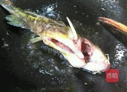 黄甲鱼汤的做法图解2