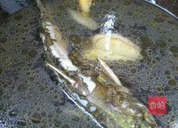 黄甲鱼汤的做法图解3