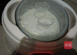 自制酸奶的做法图解8