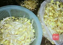 黄豆芽炒牛肚的做法图解5