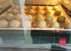 枣泥酥的做法图解15
