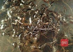 核桃花炒肉丝的做法图解1