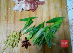 萝卜炖虾的做法图解1