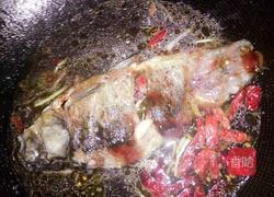 张氏红烧鱼的做法图解7