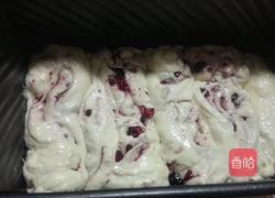 椰蓉蔓越莓面包的做法图解11