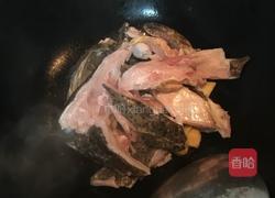 石斑鱼头豆腐汤的做法图解3