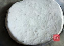 猪肉包子的做法图解8