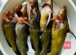 刺黄鱼豆腐清养汤的做法图解2