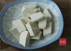 鲶鱼炖豆腐的做法图解4