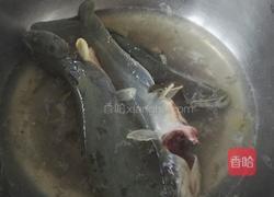 鲶鱼炖豆腐的做法图解5