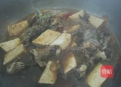 鲶鱼炖豆腐的做法图解16