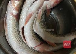 酱焖梭鱼的做法图解1