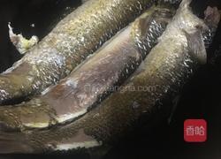 酱焖梭鱼的做法图解8