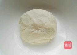 静~牛肉饼(12层 8层 卷饼)的做法图解3