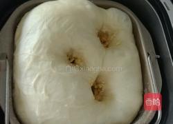 全麦芝士面包的做法图解5