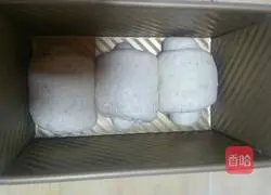 Whole wheat milk toast recipe illustration 7