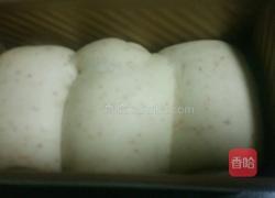 全麦奶香吐司的做法图解8