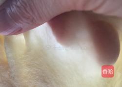 荷花酥的做法图解5