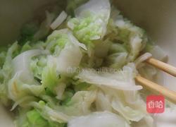 独家素饺子的做法图解5