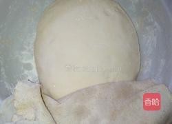 山东水煎包的做法图解3
