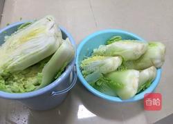 酸菜腌制方法,的做法图解5