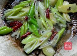 酱香啤酒鸭的做法图解5