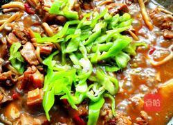 酱香啤酒鸭的做法图解10