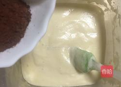 大理石戚风蛋糕的做法图解14