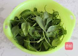 果仁菠菜的做法图解1