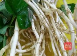 凉拌折耳根（鱼腥草）的做法图解2