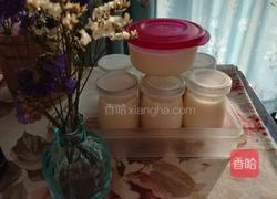 花胶布丁的做法图解6