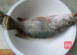 清蒸鳜鱼的做法图解1