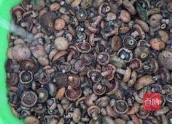 雁鹅菌油的做法图解2