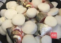 萝卜炖鲮鱼的做法图解13