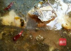 酸酸辣辣的酸菜鱼的做法图解15